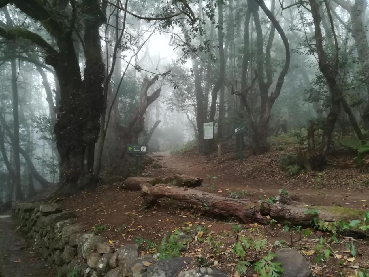 Casa Rural Finca La Maleza Agulo Buitenkant foto
