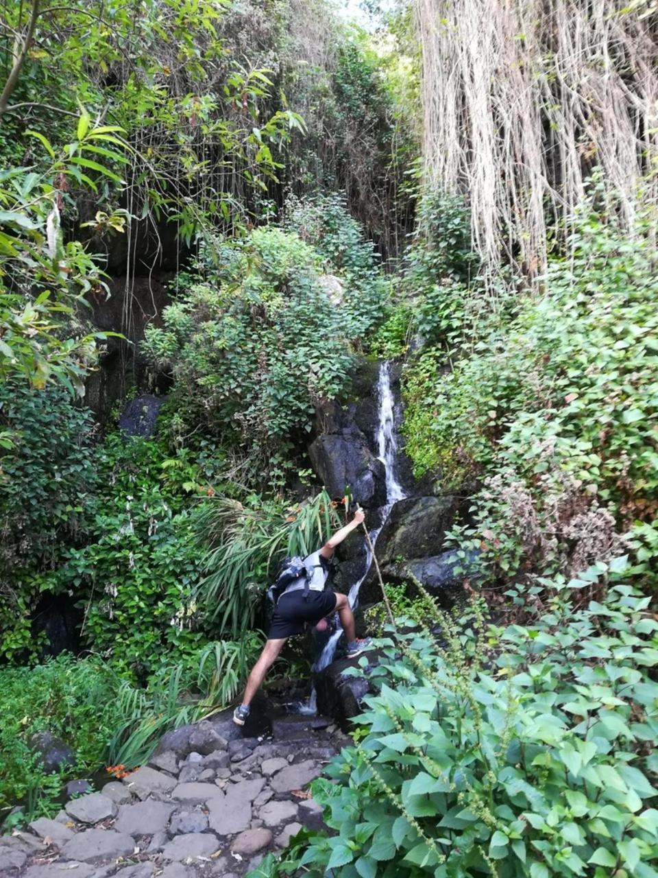 Casa Rural Finca La Maleza Agulo Buitenkant foto
